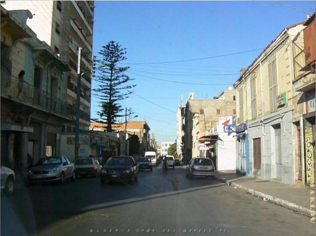 avenue d'Oujda (41) .jpg